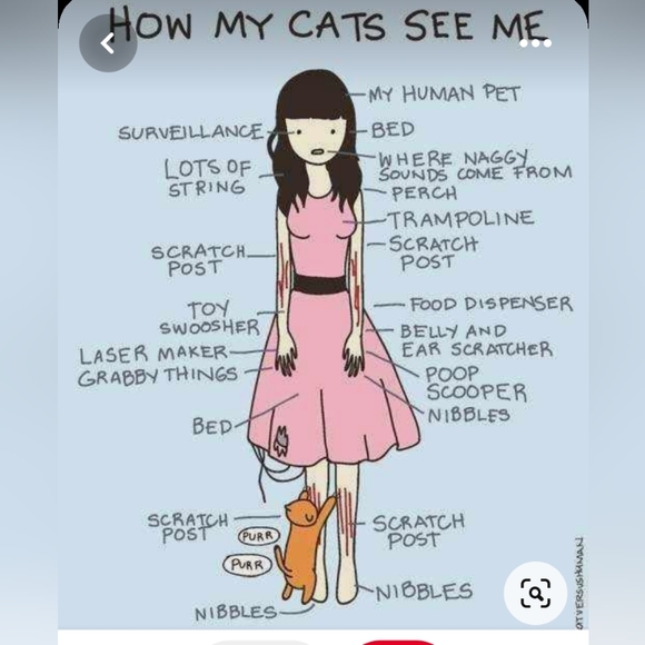 Everything - Picture 3 of 4